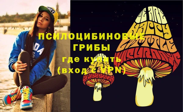 ГАЛЛЮЦИНОГЕННЫЕ ГРИБЫ Алзамай